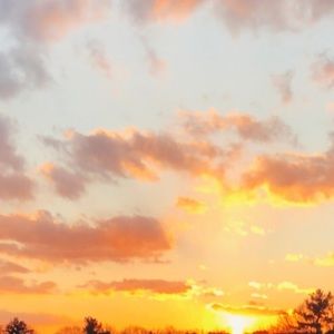 Meet your Posher, Allie